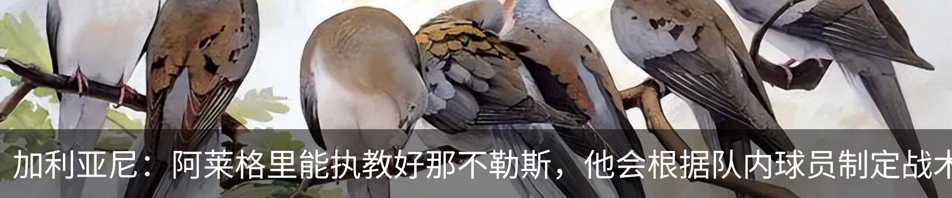 行业资讯